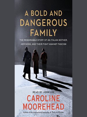 cover image of A Bold and Dangerous Family